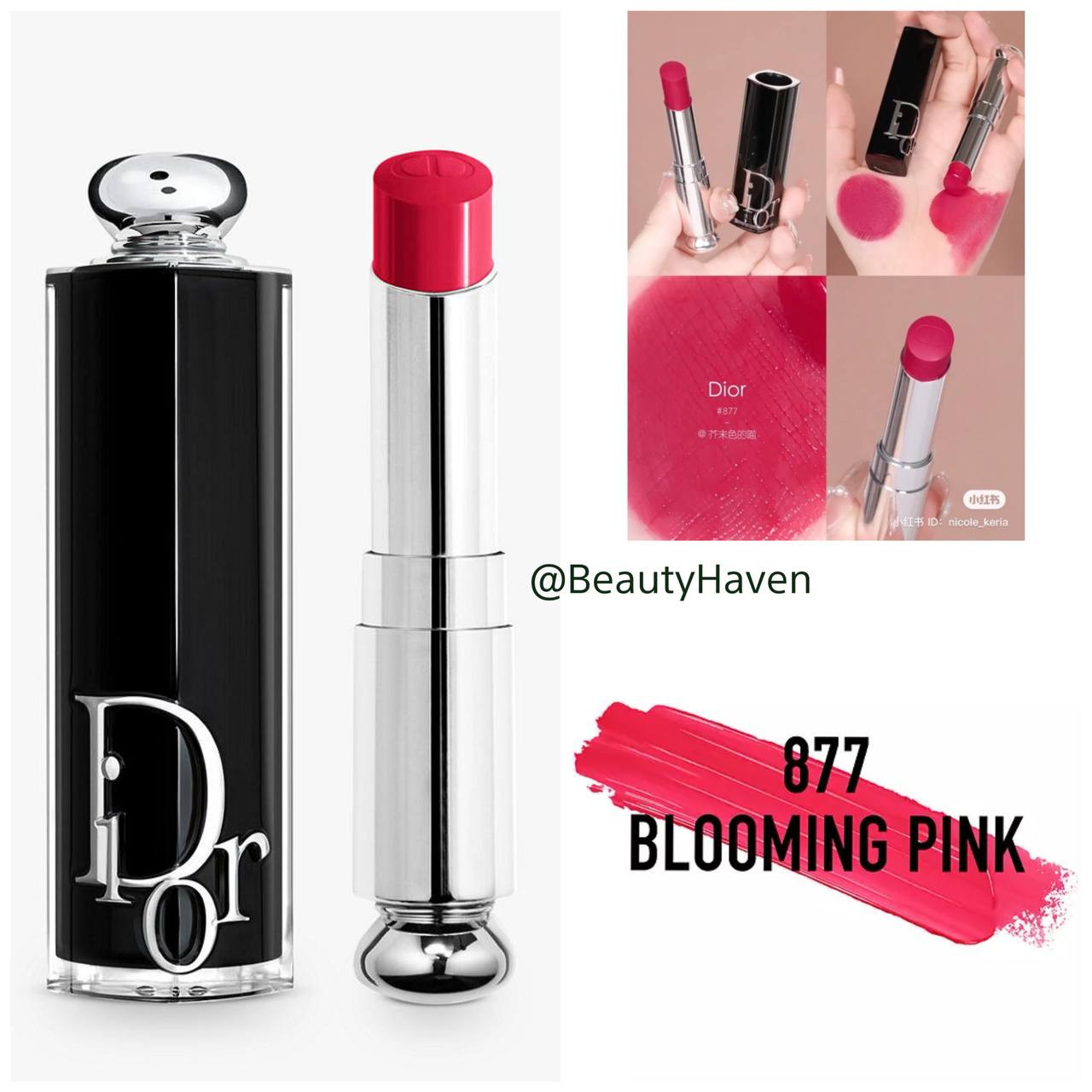 Son Dior Addict Hydrating Shine Blooming Pink 877 Màu hồng đỏ